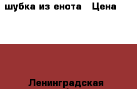 шубка из енота › Цена ­ 3 000 - Ленинградская обл. Одежда, обувь и аксессуары » Женская одежда и обувь   . Ленинградская обл.